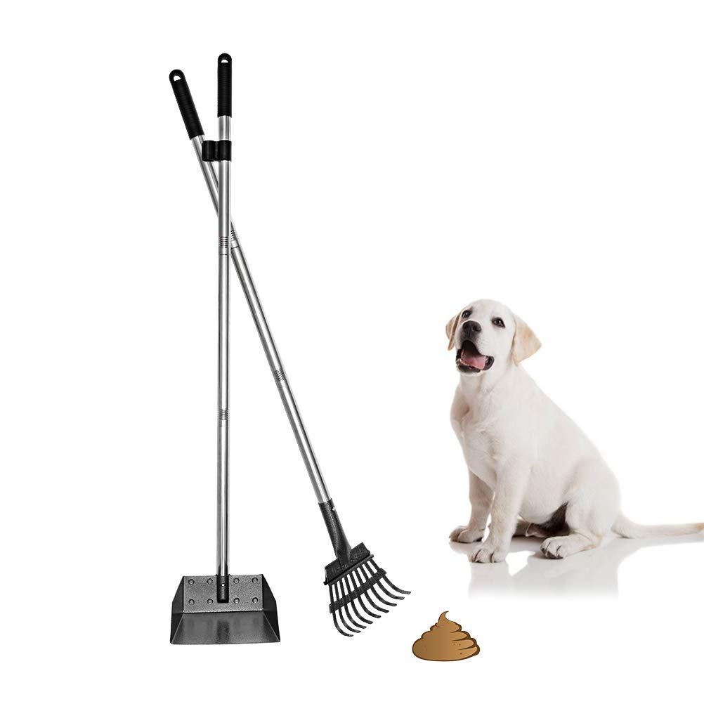 Starting a Pet Waste Removal Business