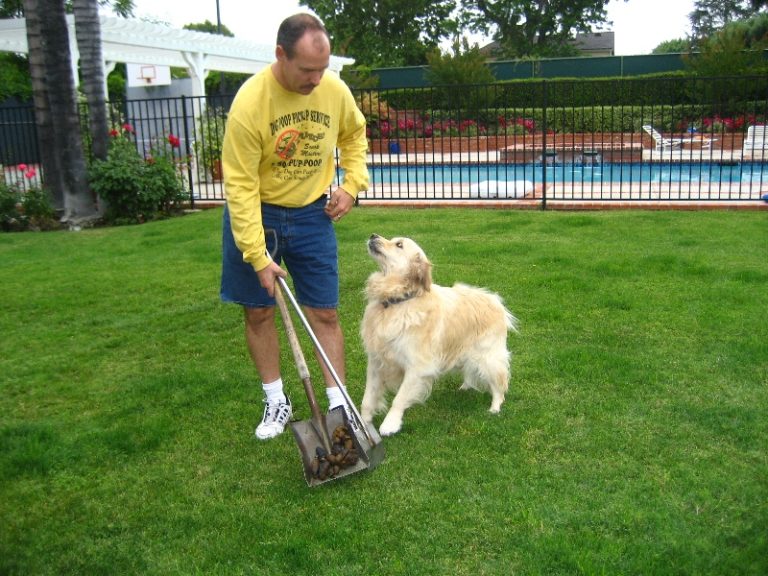 Start a Pooper Scooper Business Instant Download