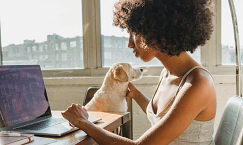 Lady working at desk with a dog for how to start a pooper scooper business page