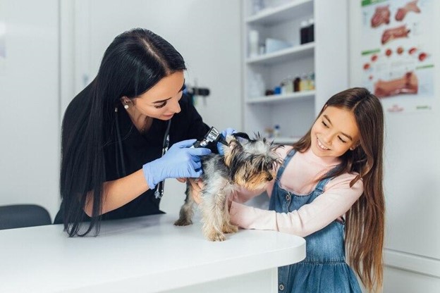 Female veterinarian checking a small dog's ear while a young girl is comforting the dog.