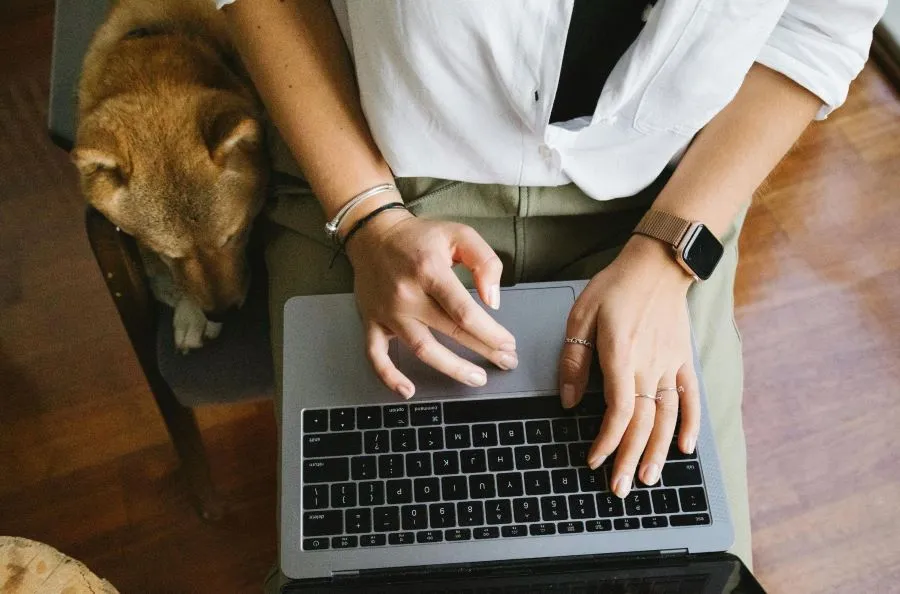 Woman typing on laptop computer with dog watching.