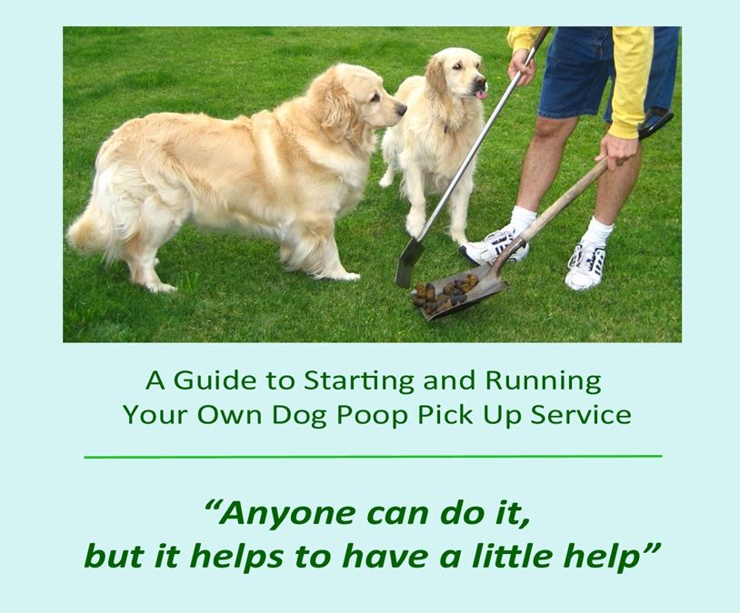 Image of front cover of the Professional Scoop Master, A guide to starting and running your own dog poop pick up service.